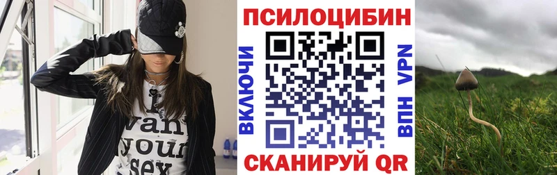 купить   это наркотические препараты  Галлюциногенные грибы Psilocybe  Красноуральск  KRAKEN сайт 